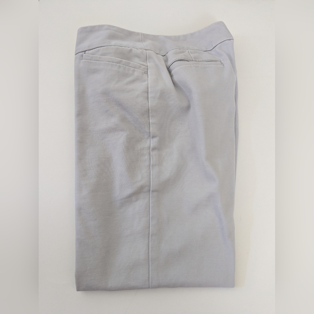 Talbots Soft Gray Trousers